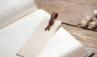 开门见山是什么意思 开门见山的出处