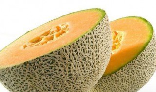 哈密瓜皮做花肥要多久 夏天大概要多久