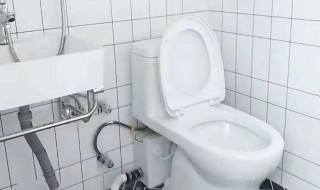 去除厕所臭气用什么 可以用这些东西