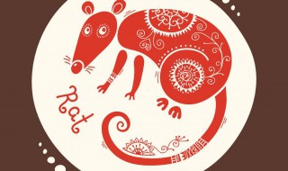 来年得道升天去是什么生肖 你知道这个吗