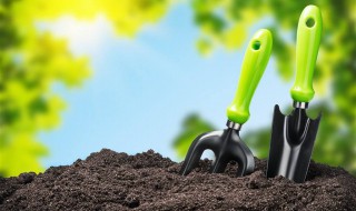 营养液能浇土壤里吗 现在给大家介绍一下