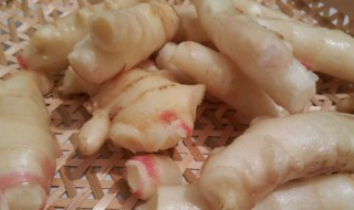 酱油怎么腌仔姜 你想知道怎样做吗