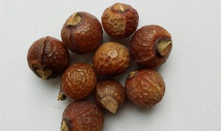 无患子为什么叫鬼见愁 详细原因