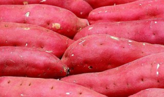 地瓜怎样储存能不烂 教你冬天地瓜的储存方法