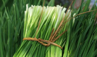 韭菜越冬前什么时间停止釆割 韭菜最后一次割是什么时候