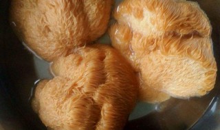 干猴头菇包饺子怎么做 这样做我给一百分