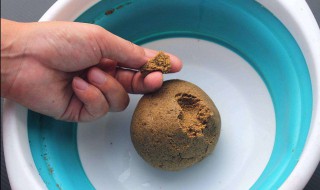 捞河虾用什么饵料 有哪些选择