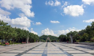 深圳市民中心到莲花山有多远 真的非常远