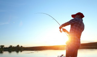 春钓滩夏钓潭口诀详解 春、夏、秋、冬的钓鱼方法