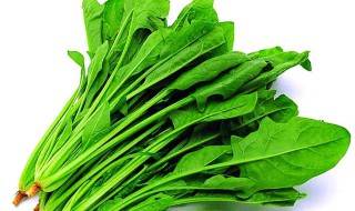 菠菜能打白醋吗 答案在这里