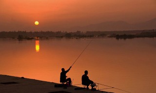 钓鱼的鱼饵怎么做 如何自制钓鱼饵料