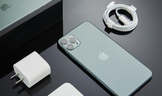 苹果11怎么关谷歌 在设置中关闭