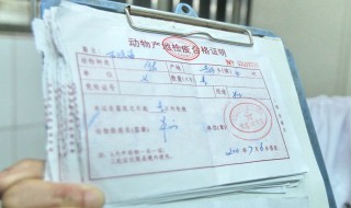 检疫证明怎么开 到当地开检疫证明需要什么手续?