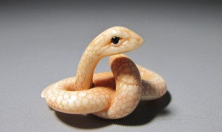 梦见蛇4条别人打死2条好不好 这5个方面来分析一下