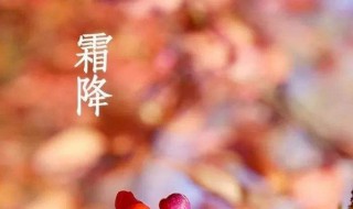 霜降有啥禁忌 霜降有什么民俗注意事项