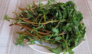 晒干的马齿苋的功效 味道非常的不错