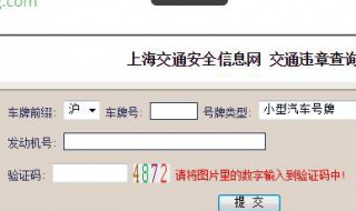 上海违章查询验证码怎么输入 原来是这些原因