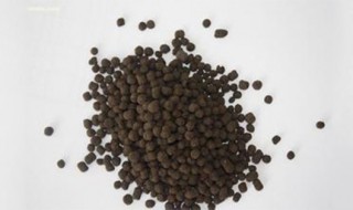 羊粪发酵土方法 想来试试吗