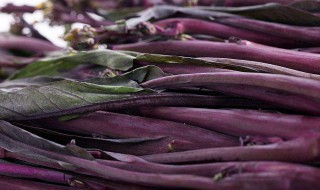 红菜苔怎么炒才好吃 希望可以帮助到有需要的朋友