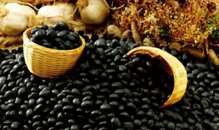 黑豆燕麦的功效与作用 现在你知道了吗