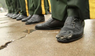 阅兵鞋子是特制的吗 下面给大家答复