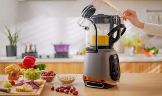 破壁机怎么打鱼 生活小妙招