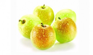 冬枣的功效与禁忌 你有了解过吗