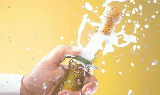 啤酒瓶封口小妙招 啤酒瓶封口的几个实用的小妙招