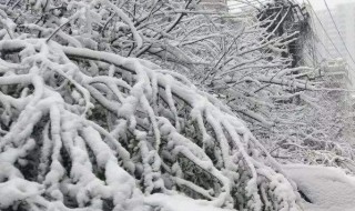 澳大利亚下雪吗 你了解么