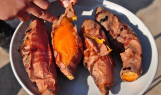 烟薯25的储存方法 有哪一些