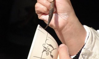 梦见给别人做坯 周公解梦为你解开谜团