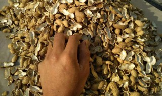 花生壳是什么肥 花生壳是有机肥