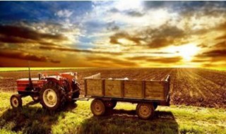 三农怎么投票 在哪投？