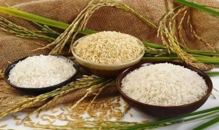 大米发饼的做法 半小时内完成没问题