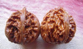 秋子核桃怎么盘红 文玩核桃怎么盘玩才能快速变红