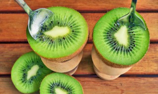 猕猴桃怎么发芽 怎样让猕猴桃种子发芽