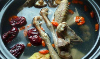 玉米鸽子汤家常做法 原来是这样做的