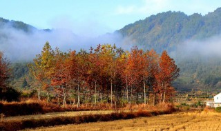 婺源秋色什么时候最佳 这里惊艳全国!