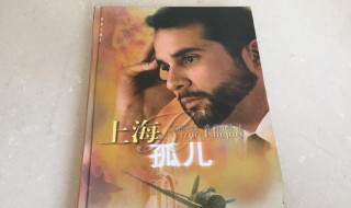 上海孤儿结局 主要讲什么