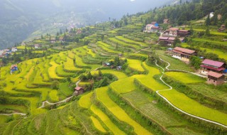 地势太低对哪些生肖不好 你知道多少