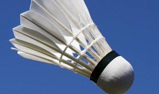 双人羽毛球怎么打 双人羽毛球打法规则