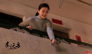 在远方剧情大结局 在远方分集剧情介绍大结局