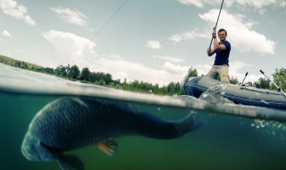 钓大青鱼跑铅方法 钓大青鱼的大跑铅钓法的钓组搭配