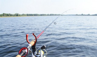 楞巴鱼怎么钓 海钓楞巴鱼的垂钓技法