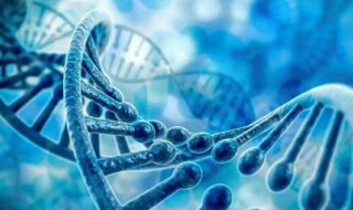 什么是基因 这些你知道吗