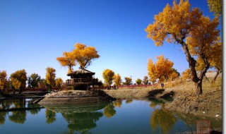 南疆面积人口 给大家介绍一下