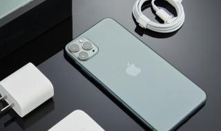 苹果11耳机接口位置 苹果11的耳机接口在充电口处