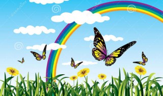 彩虹蝴蝶怎么画 请看回答
