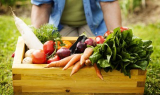 吃萝卜功效与副作用 为你分享最真实经验