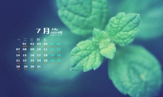 1950年农历9日2日是公历几日几日 农历是什么